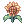 Sunflower[1]