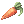 Carrot